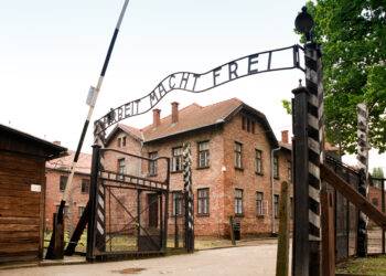 Outrage after Polish ruling party uses Auschwitz footage to attack opposition