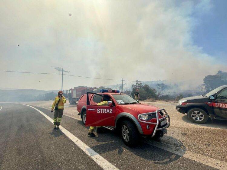 Polish firefighters help Greeks combat rapidly spreading fires