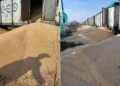 Massive Ukrainian Corn Spill Near Bydgoszcz: Hundreds of Tons on Railway Tracks
