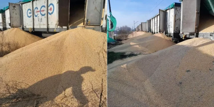 Massive Ukrainian Corn Spill Near Bydgoszcz: Hundreds of Tons on Railway Tracks