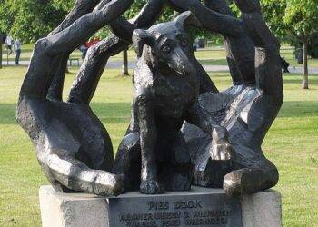 Pies Dżok: The Faithful Dog Who Became a Legend in Krakow